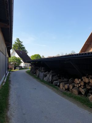 brennholz.jpeg